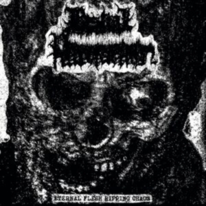 Bestial Putrefaction - Eternal Flesh Ripping Chaos in der Gruppe Övrigt /  bei Bengans Skivbutik AB (4054114)