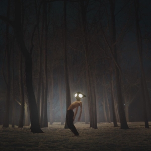 Geese - Projector in der Gruppe VINYL / Hårdrock,Pop-Rock bei Bengans Skivbutik AB (4054162)