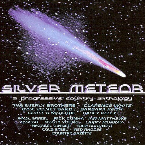 Various Artists - Silver Meteor : A Progressive Count in der Gruppe CD / Country bei Bengans Skivbutik AB (4054254)