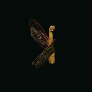 Louca Maurice - Saet El Haz (The Luck Hour) in der Gruppe CD bei Bengans Skivbutik AB (4054308)