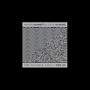 HANNETT MARTIN AND STEVE HOPKINS - INVISIBLE GIRLS (LP+DVD) in der Gruppe VINYL / Pop-Rock bei Bengans Skivbutik AB (4056715)