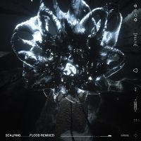 Scalping - Flood Remixed in der Gruppe VINYL / Pop-Rock bei Bengans Skivbutik AB (4056726)