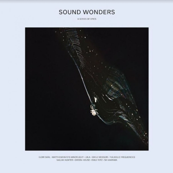 Various Artists - Sound Wonders in der Gruppe VINYL / Bestseller bei Bengans Skivbutik AB (4056791)