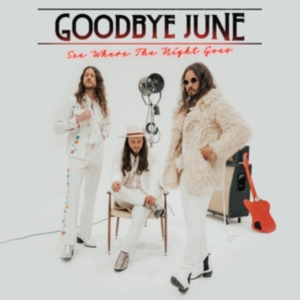 Goodbye June - See Where The Night Goes (Black Vin in der Gruppe VINYL / Hårdrock,Pop-Rock bei Bengans Skivbutik AB (4057134)