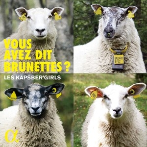 Various - Vous Avez Dit Brunettes? in der Gruppe CD bei Bengans Skivbutik AB (4058503)
