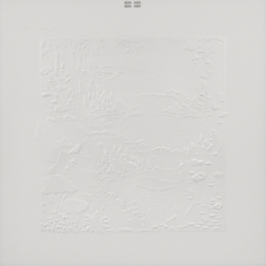 Bon Iver - Bon Iver 10Th Anniversary Edition in der Gruppe CD / Pop-Rock bei Bengans Skivbutik AB (4060953)