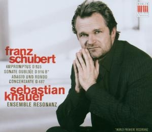 Schubert Franz - Piano Works in der Gruppe Externt_Lager / Naxoslager bei Bengans Skivbutik AB (4061594)
