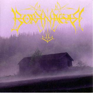 Borknagar - Borknagar (25Th Anniversary Re-Issue 2021) in der Gruppe CD / Hårdrock bei Bengans Skivbutik AB (4064250)