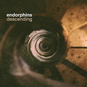 Endorphins - Descending in der Gruppe CD / Pop-Rock,Övrigt bei Bengans Skivbutik AB (4067340)