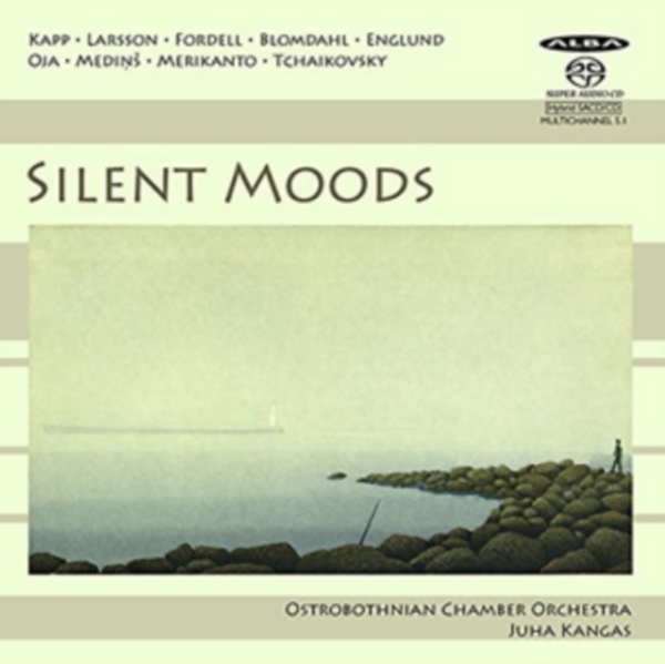 Various - Silent Moods in der Gruppe CD / Bestseller bei Bengans Skivbutik AB (4067526)