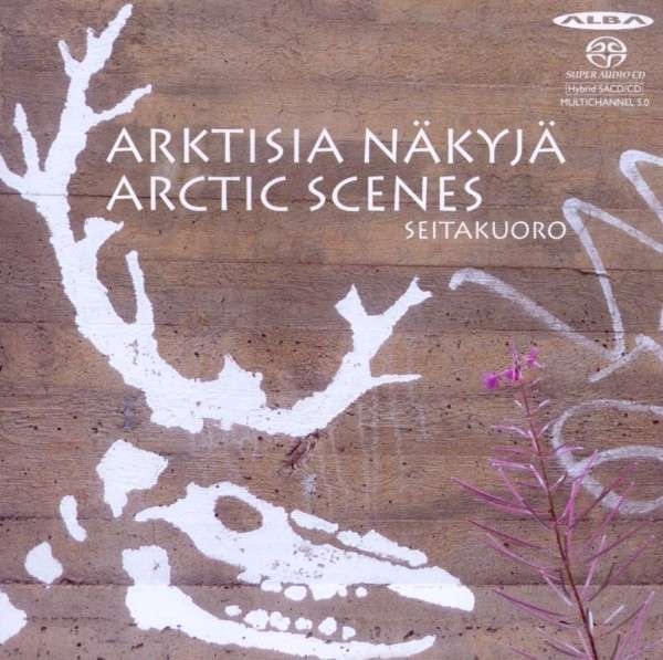 Various - Arctic Scenes in der Gruppe CD / Bestseller bei Bengans Skivbutik AB (4069101)
