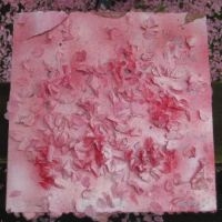 Planning For Burial - Leaving - 11Th Anniversary Ed. (2Lp in der Gruppe VINYL / Pop-Rock bei Bengans Skivbutik AB (4069261)