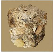 CAR THE GARDEN - Absence in der Gruppe CD / K-Pop bei Bengans Skivbutik AB (4070842)