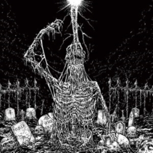 Infesticide / In Obscurity Revealed - Split in der Gruppe Övrigt /  bei Bengans Skivbutik AB (4071281)