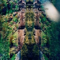 Iro Haarla Electric Ensemble - What Will We Leave Behind in der Gruppe VINYL / Jazz,Övrigt bei Bengans Skivbutik AB (4073131)