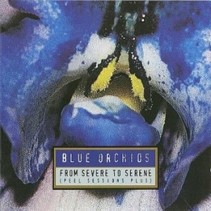 Blue Orchids - From To Severe To Serene in der Gruppe CD / Pop bei Bengans Skivbutik AB (4073182)