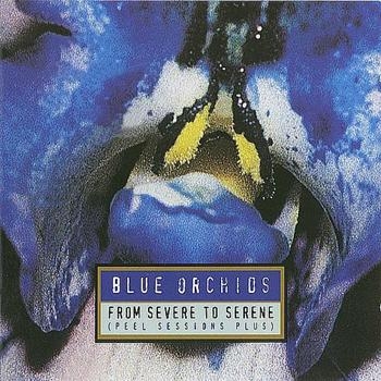 Blue Orchids - From To Severe To Serene in der Gruppe CD / Pop-Rock bei Bengans Skivbutik AB (4073182)