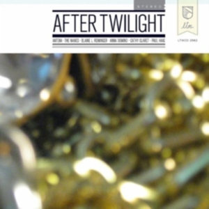 Various Artists - After Twilight in der Gruppe CD bei Bengans Skivbutik AB (4073207)
