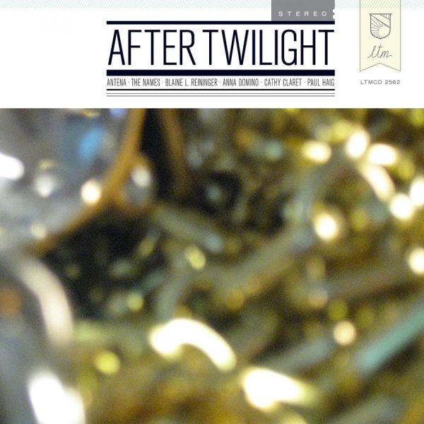 Various Artists - After Twilight in der Gruppe CD / Bestseller bei Bengans Skivbutik AB (4073207)