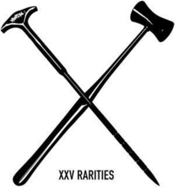 Vandal X - XXV Rarities in der Gruppe CD / Pop bei Bengans Skivbutik AB (4075038)