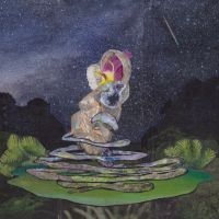 Lal - Meteors Could Come Down in der Gruppe VINYL / Dance-Techno bei Bengans Skivbutik AB (4075099)