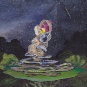 Lal - Meteors Could Come Down in der Gruppe VINYL / Dance-Techno bei Bengans Skivbutik AB (4075099)