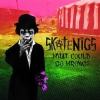 Skatenigs - What Could Go Wrong? in der Gruppe CD bei Bengans Skivbutik AB (4075146)