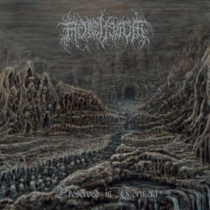 Mortiferum - Preserved In Torment in der Gruppe CD bei Bengans Skivbutik AB (4076512)