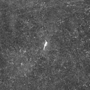 Birds Of Passage - The Last Garden in der Gruppe VINYL / Pop-Rock,Reggae bei Bengans Skivbutik AB (4076930)