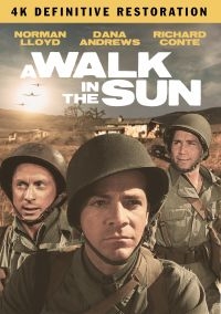 A Walk In The Sun: The Definitive R - Film (2Dvd) in der Gruppe DVD & BLU-RAY bei Bengans Skivbutik AB (4077103)