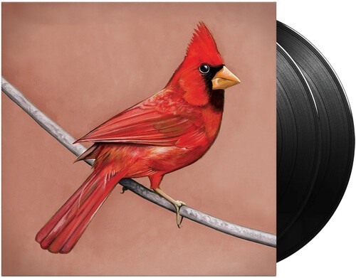 Alexisonfire - Old Crows / Young Cardinals in der Gruppe VINYL / Pop bei Bengans Skivbutik AB (4077175)