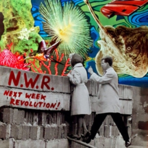 Next Week Revolution N.W.R. - Next Week Revolution in der Gruppe VINYL / Dance-Techno bei Bengans Skivbutik AB (4077194)