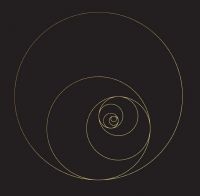 Ocean Collective - Phanerozoic Live (3Lp+Dvd) in der Gruppe VINYL bei Bengans Skivbutik AB (4077250)