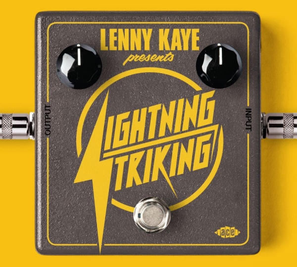 Various Artists - Lenny Kaye Presents Lightning Strik in der Gruppe CD / Bestseller bei Bengans Skivbutik AB (4080829)