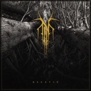 Norse - Ascetic (Digipack) in der Gruppe CD / Hårdrock/ Heavy metal bei Bengans Skivbutik AB (4080931)