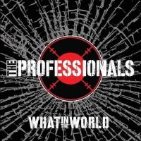 Professionals - What In The World in der Gruppe VINYL / Pop-Rock bei Bengans Skivbutik AB (4086659)