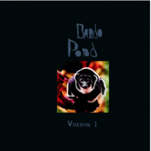 Bardo Pond - Volume 1 in der Gruppe UNSERE TIPPS / Record Store Day / RSD-21 bei Bengans Skivbutik AB (4091092)