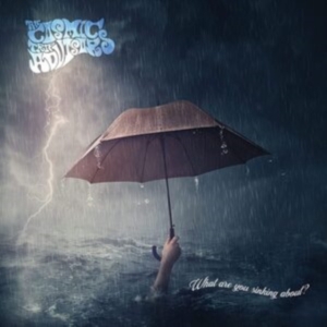 Cosmic Trip Advisors - What Are You Sinking About? in der Gruppe CD bei Bengans Skivbutik AB (4095163)