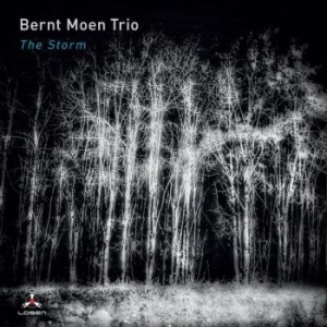 Brent Moen Trio - Storm in der Gruppe CD / Jazz bei Bengans Skivbutik AB (4095174)