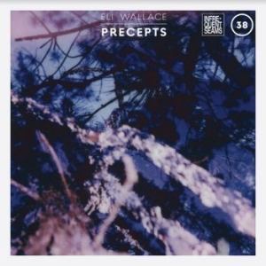 Wallace Eli - Precepts in der Gruppe CD / Elektroniskt,Reggae,World Music bei Bengans Skivbutik AB (4096346)