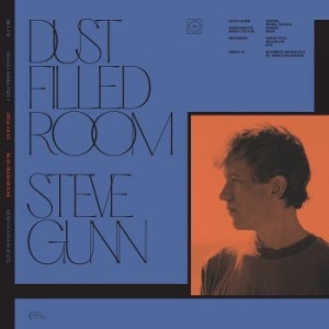 Bill Fay & Steve Gunn - Dust Filled Room in der Gruppe VINYL / Pop-Rock bei Bengans Skivbutik AB (4096593)