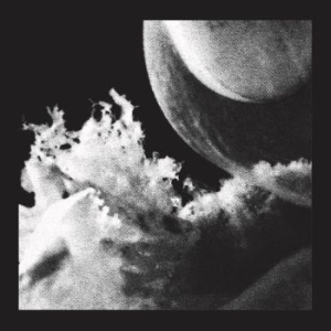 Jlin - Embryo in der Gruppe VINYL / Dans/Techno bei Bengans Skivbutik AB (4098055)