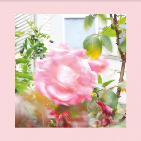 Reds Pinks And Purples (Green) - Summer At Land's End in der Gruppe VINYL / Bestseller bei Bengans Skivbutik AB (4098088)