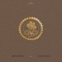 Mary Lattimore - Collected Pieces: 2015-2020 in der Gruppe VINYL bei Bengans Skivbutik AB (4100198)
