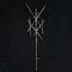 Wiegedood - There's Always Blood At The End Of The Road in der Gruppe VINYL / Hårdrock bei Bengans Skivbutik AB (4101070)