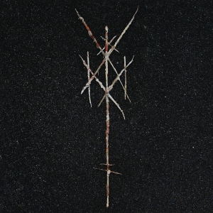 Wiegedood - There's Always Blood At The End Of The Road in der Gruppe VINYL / Hårdrock bei Bengans Skivbutik AB (4101070)