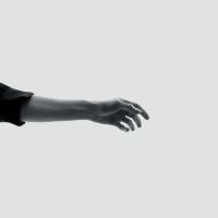 Forsyth Keeley - Limbs (Indie Exclusive, White Vinyl in der Gruppe VINYL / Pop-Rock bei Bengans Skivbutik AB (4101602)