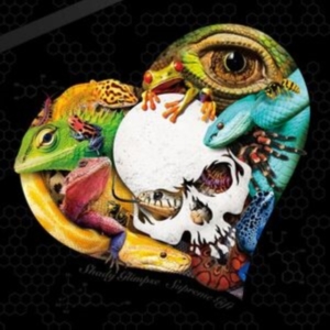 Shady Glimpse - Supreme Gift in der Gruppe CD bei Bengans Skivbutik AB (4101820)