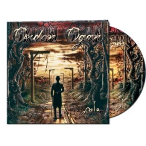Orden Ogan - Vale (Ltd Gtf Picture Vinyl Lp) in der Gruppe VINYL / Hårdrock/ Heavy metal bei Bengans Skivbutik AB (4101842)