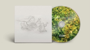 Big Thief - Dragon New Warm Mountain I Believe in der Gruppe Minishops / Big Thief bei Bengans Skivbutik AB (4103652)